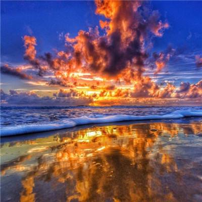 大四喜下载手机版截图